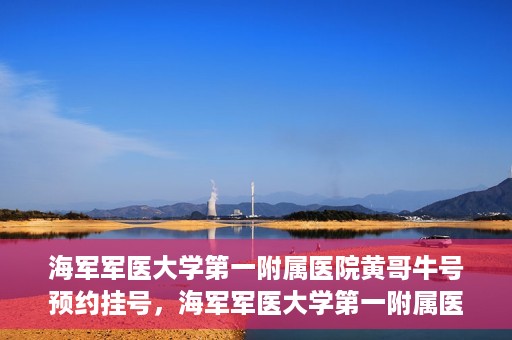 海军军医大学第一附属医院黄哥牛号预约挂号，海军军医大学第一附属医院黄哥牛号预约挂号攻略，轻松挂号，健康无忧！
