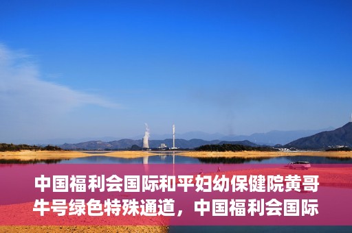 中国福利会国际和平妇幼保健院黄哥牛号绿色特殊通道，中国福利会国际和平妇幼保健院开设黄哥牛号绿色特殊通道，助力母婴健康关爱行动