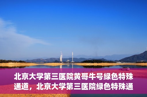 北京大学第三医院黄哥牛号绿色特殊通道，北京大学第三医院绿色特殊通道，黄哥牛号的探索与实践