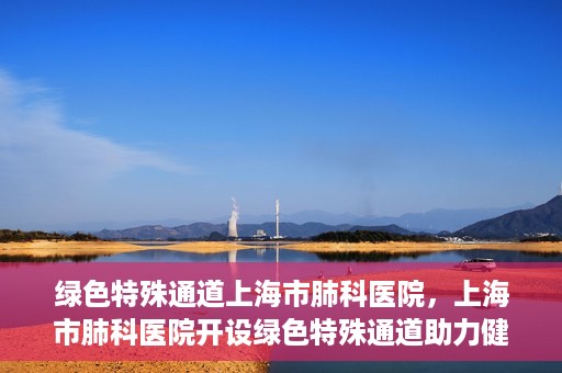 绿色特殊通道上海市肺科医院，上海市肺科医院开设绿色特殊通道助力健康上海