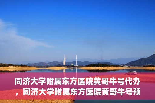 同济大学附属东方医院黄哥牛号代办，同济大学附属东方医院黄哥牛号预约代办攻略