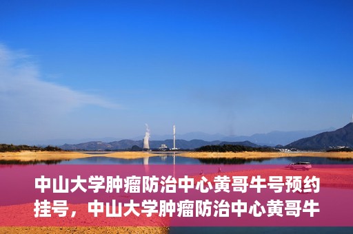 中山大学肿瘤防治中心黄哥牛号预约挂号，中山大学肿瘤防治中心黄哥牛号预约挂号攻略解析