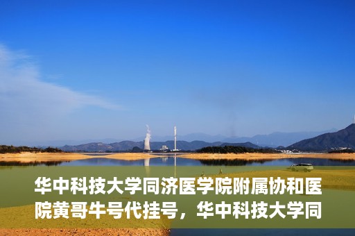 华中科技大学同济医学院附属协和医院黄哥牛号代挂号，华中科技大学同济医学院附属协和医院黄哥牛号代挂号服务详解
