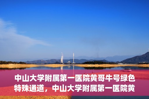 中山大学附属第一医院黄哥牛号绿色特殊通道，中山大学附属第一医院黄哥牛号，绿色特殊通道开启健康之门