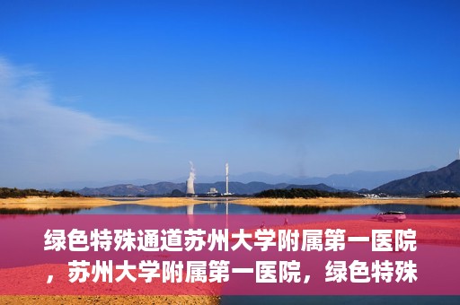 绿色特殊通道苏州大学附属第一医院，苏州大学附属第一医院，绿色特殊通道的健康守护之路