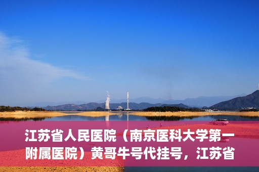 江苏省人民医院（南京医科大学第一附属医院）黄哥牛号代挂号，江苏省人民医院（南京医科大学第一附属医院）黄哥牛号助您轻松挂号就医