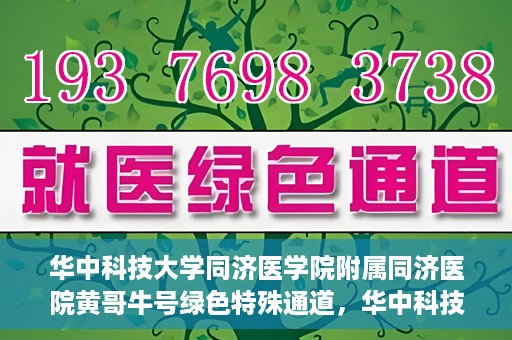 华中科技大学同济医学院附属同济医院黄哥牛号绿色特殊通道，华中科技大学同济医院黄哥牛号绿色特殊通道揭秘