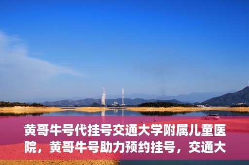 黄哥牛号代挂号交通大学附属儿童医院，黄哥牛号助力预约挂号，交通大学附属儿童医院开启便捷就医新篇章
