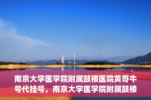 南京大学医学院附属鼓楼医院黄哥牛号代挂号，南京大学医学院附属鼓楼医院黄哥牛号代挂号解析，专业解读与预约攻略