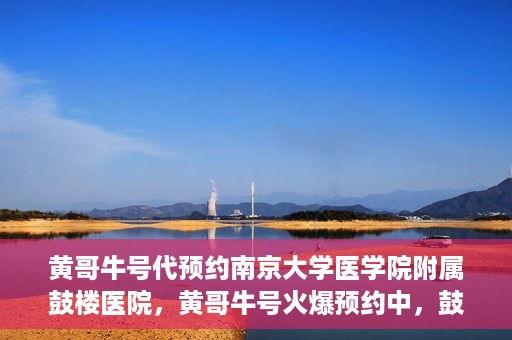 黄哥牛号代预约南京大学医学院附属鼓楼医院，黄哥牛号火爆预约中，鼓楼医院携手南京大学医学院开启健康新篇章