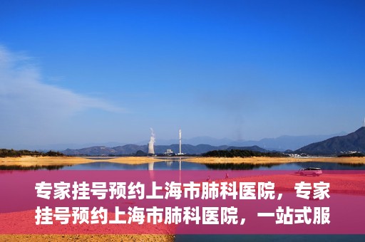 专家挂号预约上海市肺科医院，专家挂号预约上海市肺科医院，一站式服务为您的健康保驾护航