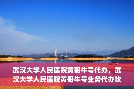 武汉大学人民医院黄哥牛号代办，武汉大学人民医院黄哥牛号业务代办攻略