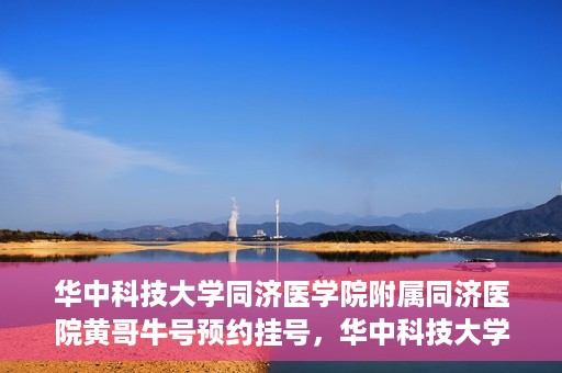 华中科技大学同济医学院附属同济医院黄哥牛号预约挂号，华中科技大学同济医院黄哥牛号预约挂号攻略