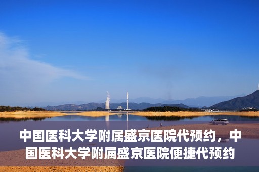 中国医科大学附属盛京医院代预约，中国医科大学附属盛京医院便捷代预约服务解析