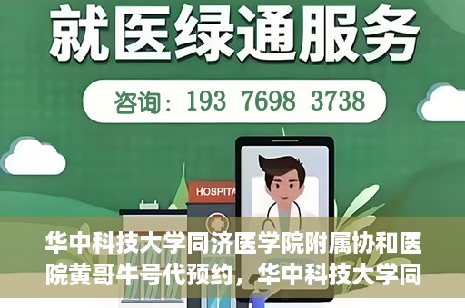 华中科技大学同济医学院附属协和医院黄哥牛号代预约，华中科技大学同济医学院附属协和医院预约服务揭秘，黄哥牛号代预约解析