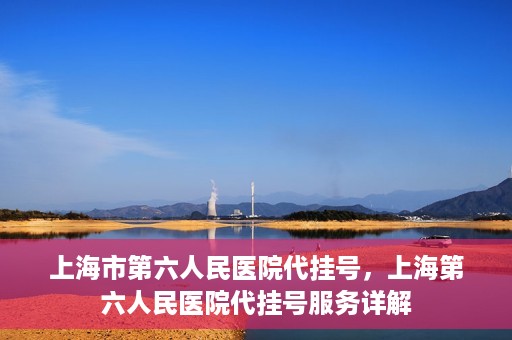 上海市第六人民医院代挂号，上海第六人民医院代挂号服务详解