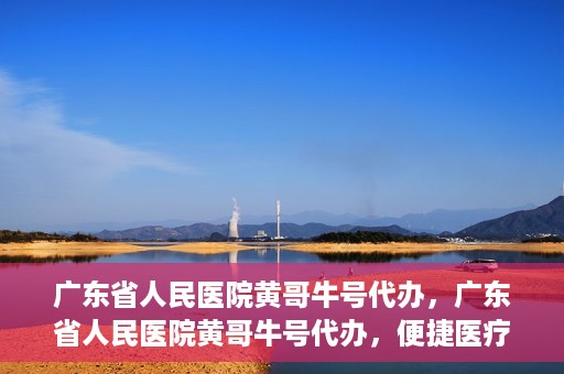 广东省人民医院黄哥牛号代办，广东省人民医院黄哥牛号代办，便捷医疗新途径