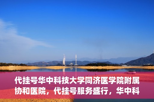 代挂号华中科技大学同济医学院附属协和医院，代挂号服务盛行，华中科技大学同济医学院附属协和医院如何应对挑战？