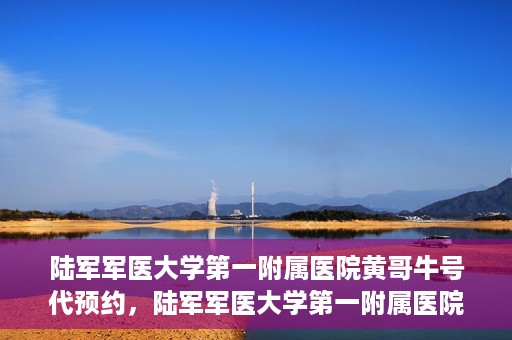 陆军军医大学第一附属医院黄哥牛号代预约，陆军军医大学第一附属医院预约系统升级，黄哥牛号预约服务上线