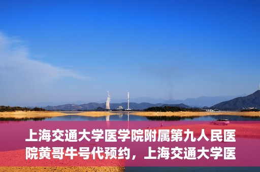 上海交通大学医学院附属第九人民医院黄哥牛号代预约，上海交通大学医学院附属第九人民医院黄哥牛号预约攻略，轻松预约挂号体验