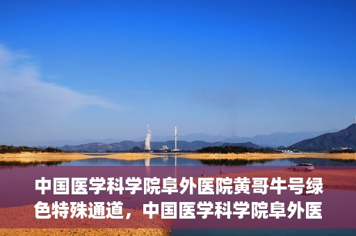 中国医学科学院阜外医院黄哥牛号绿色特殊通道，中国医学科学院阜外医院黄哥牛号，绿色特殊通道的医学力量探索