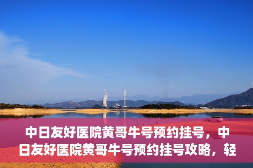 中日友好医院黄哥牛号预约挂号，中日友好医院黄哥牛号预约挂号攻略，轻松挂号，健康无忧！