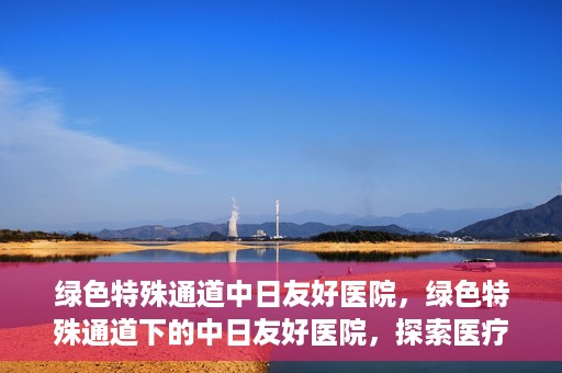 绿色特殊通道中日友好医院，绿色特殊通道下的中日友好医院，探索医疗领域的友好交流之路