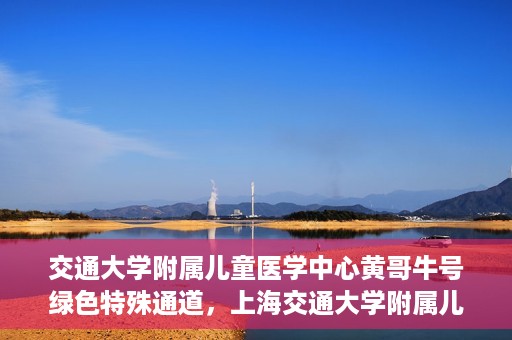 交通大学附属儿童医学中心黄哥牛号绿色特殊通道，上海交通大学附属儿童医学中心黄哥牛号，绿色特殊通道的守护者们