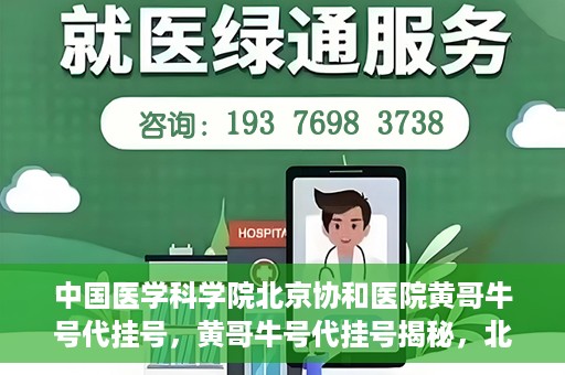 中国医学科学院北京协和医院黄哥牛号代挂号，黄哥牛号代挂号揭秘，北京协和医院挂号背后的故事