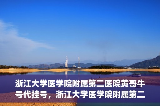 浙江大学医学院附属第二医院黄哥牛号代挂号，浙江大学医学院附属第二医院黄哥牛号挂号服务解析