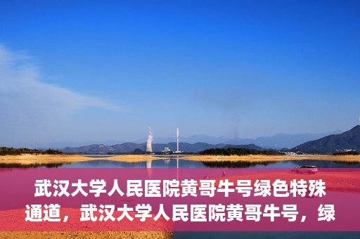 武汉大学人民医院黄哥牛号绿色特殊通道，武汉大学人民医院黄哥牛号，绿色特殊通道开启