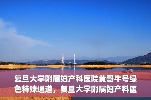 复旦大学附属妇产科医院黄哥牛号绿色特殊通道，复旦大学附属妇产科医院黄哥牛号，绿色特殊通道开启健康之门