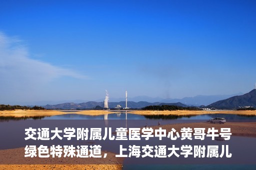 交通大学附属儿童医学中心黄哥牛号绿色特殊通道，上海交通大学附属儿童医学中心黄哥牛号，绿色特殊通道的守护者们