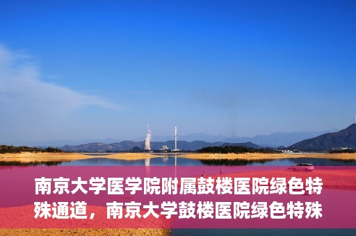 南京大学医学院附属鼓楼医院绿色特殊通道，南京大学鼓楼医院绿色特殊通道，健康守护的新路径