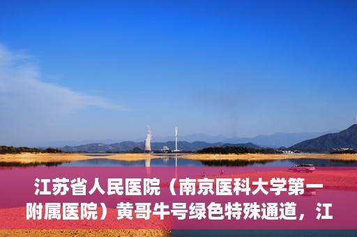 江苏省人民医院（南京医科大学第一附属医院）黄哥牛号绿色特殊通道，江苏省人民医院绿色特殊通道，黄哥牛号的医疗速度与温情服务