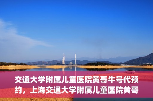 交通大学附属儿童医院黄哥牛号代预约，上海交通大学附属儿童医院黄哥牛号预约指南，轻松预约，关爱儿童健康之路