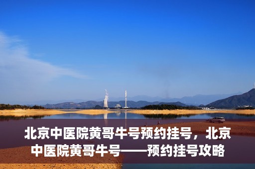 北京中医院黄哥牛号预约挂号，北京中医院黄哥牛号——预约挂号攻略