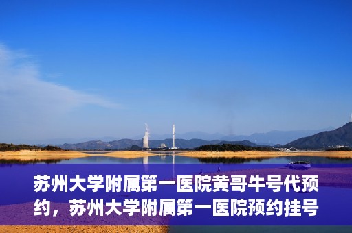苏州大学附属第一医院黄哥牛号代预约，苏州大学附属第一医院预约挂号新动向，黄哥牛号代预约服务亮相