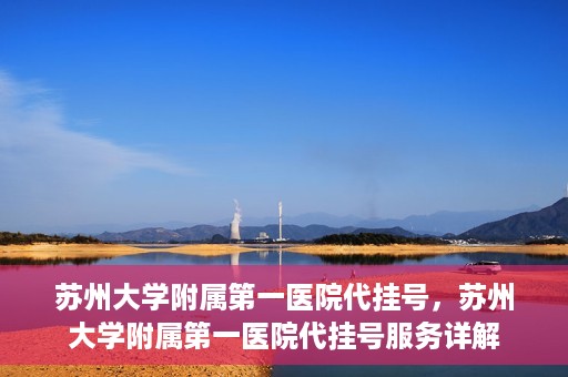 苏州大学附属第一医院代挂号，苏州大学附属第一医院代挂号服务详解