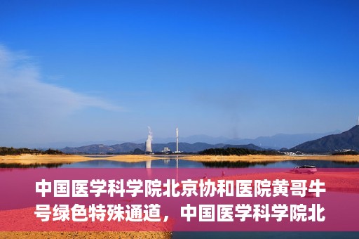 中国医学科学院北京协和医院黄哥牛号绿色特殊通道，中国医学科学院北京协和医院黄哥牛号，绿色特殊通道开启健康之门