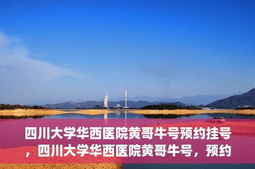 四川大学华西医院黄哥牛号预约挂号，四川大学华西医院黄哥牛号，预约挂号攻略与指南