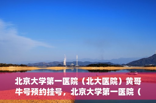 北京大学第一医院（北大医院）黄哥牛号预约挂号，北京大学第一医院（北大医院）黄哥牛号，预约挂号攻略