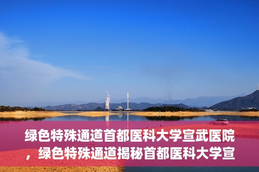 绿色特殊通道首都医科大学宣武医院，绿色特殊通道揭秘首都医科大学宣武医院的独特之处