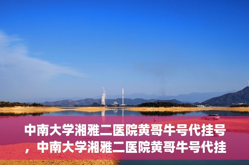 中南大学湘雅二医院黄哥牛号代挂号，中南大学湘雅二医院黄哥牛号代挂号，便捷就医背后的故事