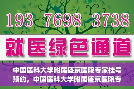 中国医科大学附属盛京医院专家挂号预约，中国医科大学附属盛京医院专家挂号预约攻略，一站式预约服务解析
