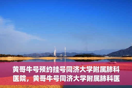 黄哥牛号预约挂号同济大学附属肺科医院，黄哥牛号同济大学附属肺科医院预约挂号攻略