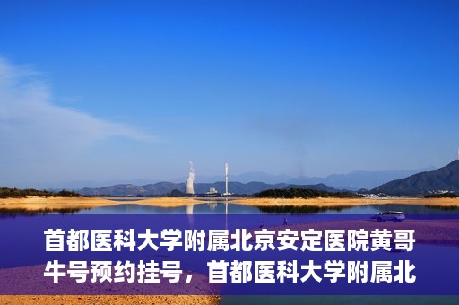 首都医科大学附属北京安定医院黄哥牛号预约挂号，首都医科大学附属北京安定医院黄哥牛号预约挂号指南