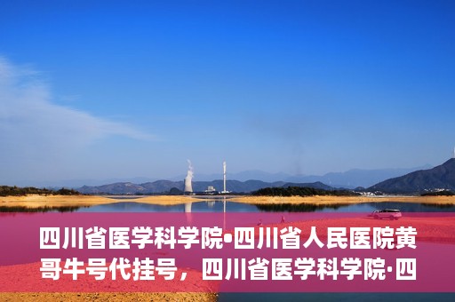 四川省医学科学院•四川省人民医院黄哥牛号代挂号，四川省医学科学院·四川省人民医院黄哥牛号——便捷挂号新体验