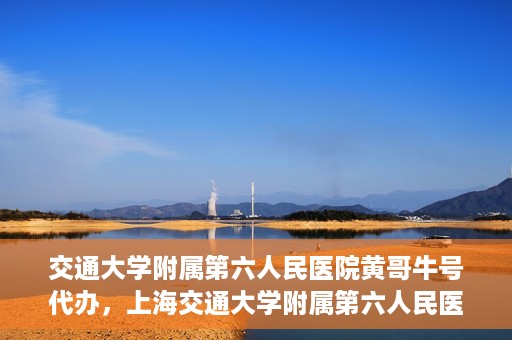 交通大学附属第六人民医院黄哥牛号代办，上海交通大学附属第六人民医院黄哥牛号代办服务解析