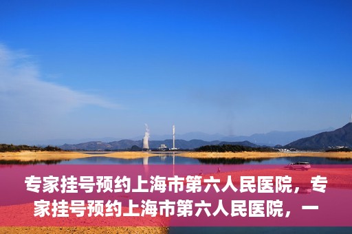 专家挂号预约上海市第六人民医院，专家挂号预约上海市第六人民医院，一站式解决就医难题